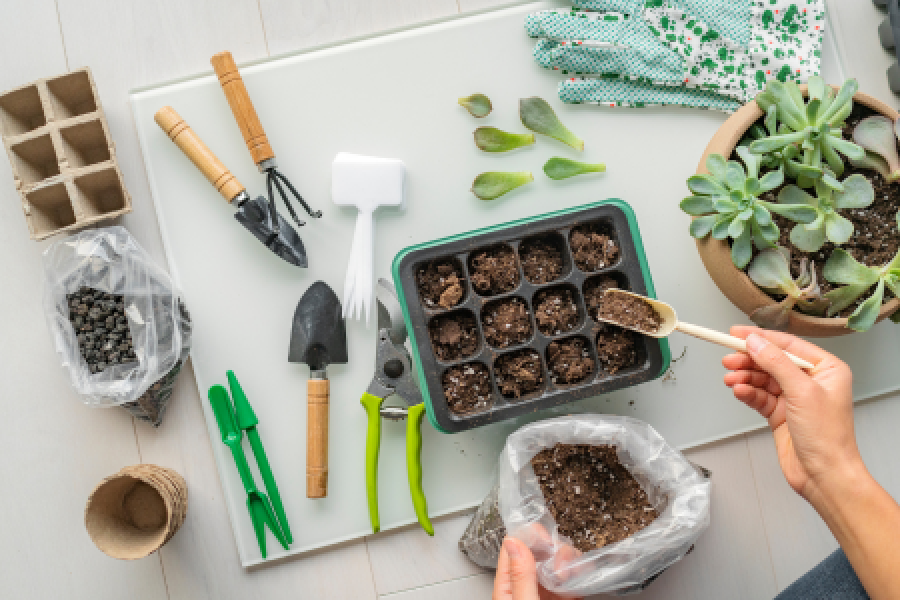 Workshop day: propagating plants