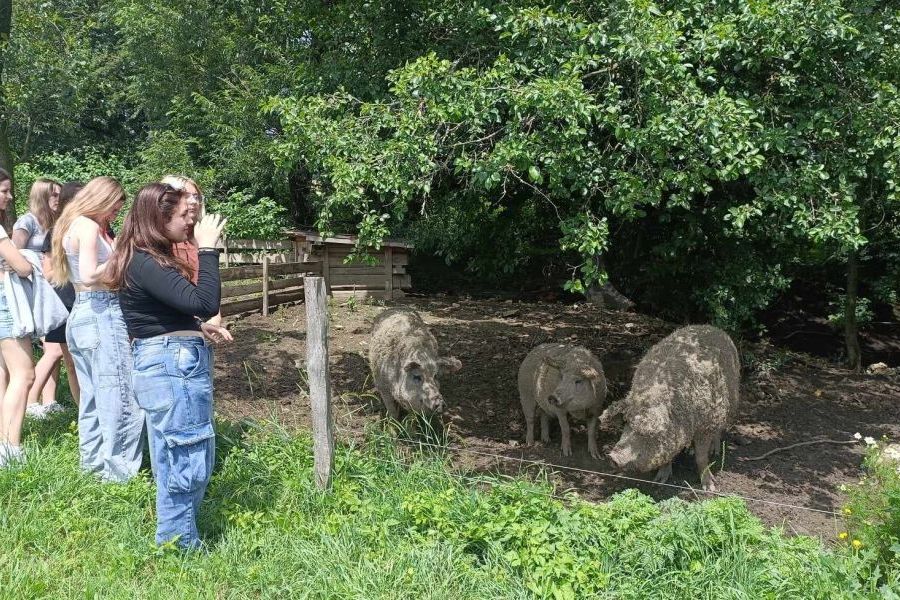 Organic farm visit  - from farm to fork