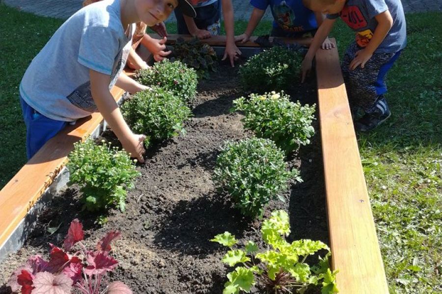 Öko-Kindergarten von Kleinkindern bis Vorschulkindern