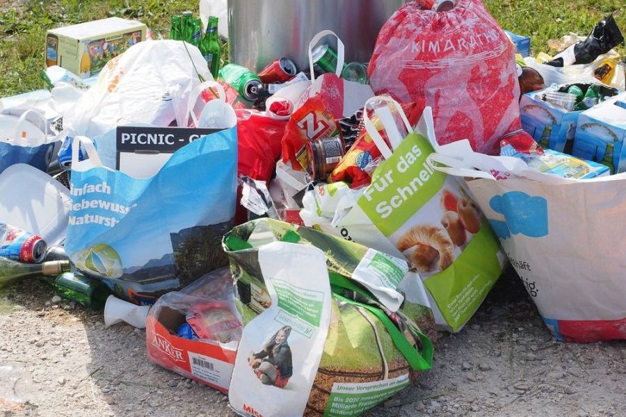 Ekologické balení: Analýza používání plastů na vídeňských trzích s potravinami