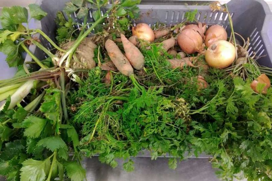 Koche dein Mittagessen - Kocherfahrung für Schüler und Schülerinnen