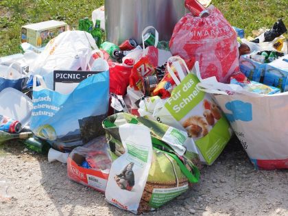 Eco-Pack: Analyzing Plastic Usage in Vienna's Grocery Markets